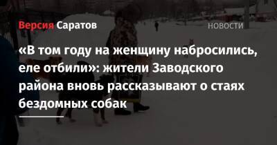 Вячеслав Володин - Роман Бусаргин - «В том году на женщину набросились, еле отбили»: жители Заводского района вновь рассказывают о стаях бездомных собак - nversia.ru - Саратовская обл. - Саратов - район Заводский