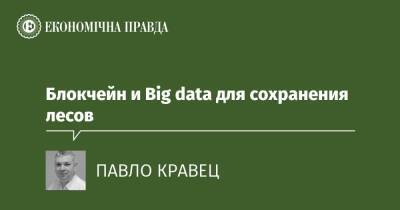 Блокчейн и Big data для сохранения лесов - epravda.com.ua - Украина