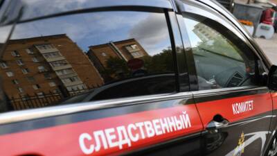 Следователи возбудили второе дело по факту нарушения прав детей в Алтайском крае - russian.rt.com - Россия - Алтайский край