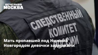 Фрагменты костей обнаружили в печи при поисках пропавшей под Новгородом девочки - vm.ru - Нижегородская обл. - Нижний Новгород - Новгородская обл. - Холм