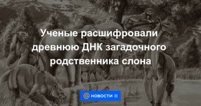 Анна Лысенко - Ученые расшифровали древнюю ДНК загадочного родственника слона - news.mail.ru - Канада - Уругвай