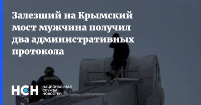 Залезший на Крымский мост мужчина получил два административных протокола - nsn.fm - Москва - Таджикистан