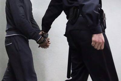 В Кургане днем на улице у 79-летней пенсионерки украли сумку. Подозреваемый задержан - znak.com - Россия