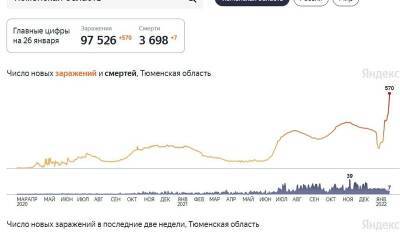 Очередной антирекорд: 570 тюменцев заболело коронавирусом, 7 смертей - nashgorod.ru - Россия - Югра - окр. Янао