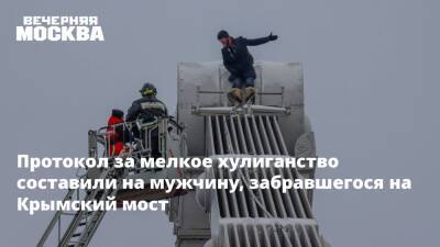Протокол за мелкое хулиганство составили на мужчину, забравшегося на Крымский мост - vm.ru - Москва - Москва
