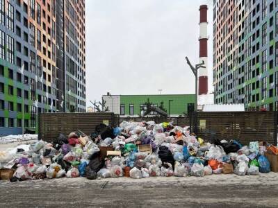 Александр Бельский - В Петербурге разработают «тепловую карту» по уборке мусора - rosbalt.ru - Санкт-Петербург - Экология