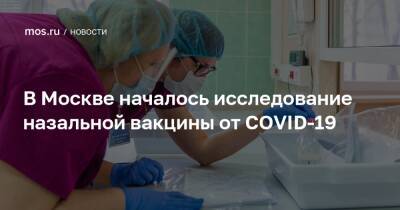 Анастасий Раков - Анастасия Ракова - В Москве началось исследование назальной вакцины от COVID-19 - mos.ru - Москва - Россия
