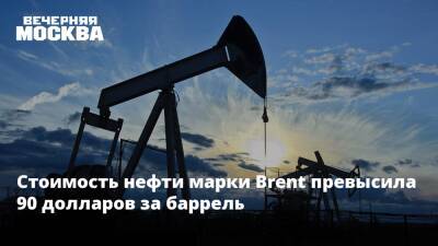 Наталья Мильчакова - Стоимость нефти марки Brent превысила 90 долларов за баррель - vm.ru - Россия - США