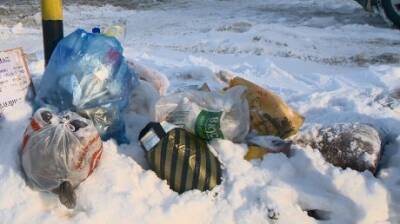 Андрей Гришин - На проспекте Строителей местные не доносят мусор до контейнеров - penzainform.ru - Пенза