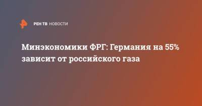 Роберт Хабек - Минэкономики ФРГ: Германия на 55% зависит от российского газа - ren.tv - Германия - Польша