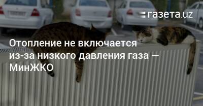 Отопление не включается из-за низкого давления газа — МинЖКО - gazeta.uz - Узбекистан - Ташкент