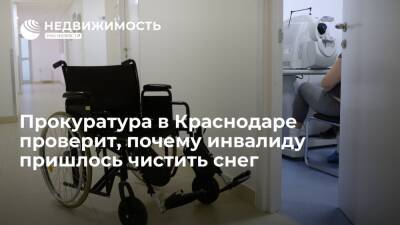 Андрей Алексеенко - Прокуратура в Краснодаре проверит, почему инвалиду пришлось чистить снег во дворе - realty.ria.ru - Краснодар - Краснодар