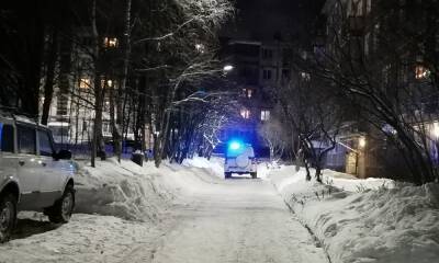 В Карелии грабитель напал на старушку в подъезде - gubdaily.ru - республика Карелия