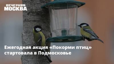Ежегодная акция «Покорми птиц» стартовала в Подмосковье - vm.ru - Москва - Московская обл.