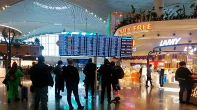 Зоя Осколкова - Заблокированные в аэропорту Стамбула пассажиры смогли улететь домой - newdaynews.ru - Стамбул