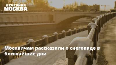 Татьяна Позднякова - Москвичам рассказали о снегопаде в ближайшие дни - vm.ru - Москва