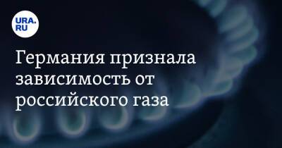 Роберт Хабек - Германия признала зависимость от российского газа - ura.news - Россия - Германия - Берлин