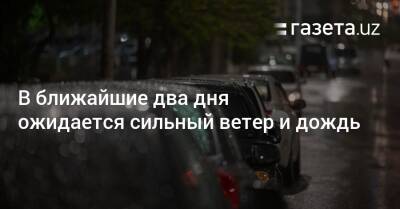 В ближайшие два дня ожидаются сильный ветер и дождь - gazeta.uz - Узбекистан - Ташкентская обл. - район Бостанлыкский