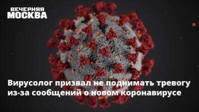 Анатолий Альтштейн - Вирусолог призвал не поднимать тревогу из-за сообщений о новом коронавирусе - vm.ru - Юар