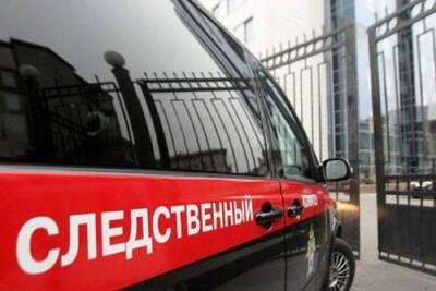 В Нижнем Новгороде предотвратили массовую бойню в школе - mk.ru - Украина - Нижний Новгород