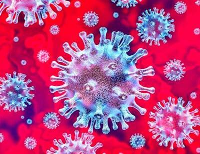 «Вектор»: найденный в ЮАР коронавирус NeoCov пока не опасен для людей - newsland.com - Юар - Ухань