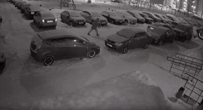 В Дашково-Песочне неизвестный повредил припаркованные машины - 7info.ru - Рязань