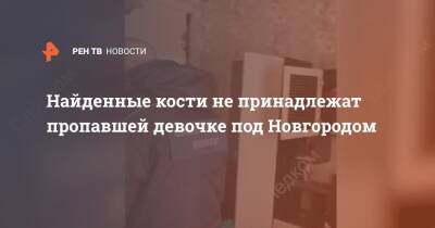 Найденные кости не принадлежат пропавшей девочке под Новгородом - ren.tv - Россия - Нижний Новгород - Новгородская обл. - район Холмский - Нижний Новгород - Холм