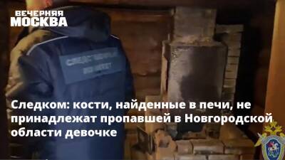 Следком: кости, найденные в печи, не принадлежат пропавшей в Новгородской области девочке - vm.ru - Россия - Новгородская обл. - Холм - Следственный Комитет