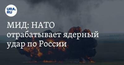 Сергей Лавров - Владимир Ермаков - МИД: НАТО отрабатывает ядерный удар по России - ura.news - Россия - США