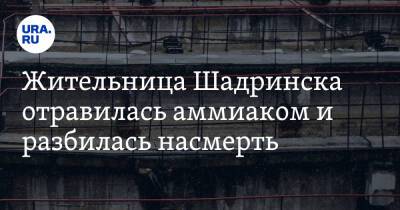 Жительница Шадринска отравилась аммиаком и разбилась насмерть - ura.news - Россия - Курганская обл. - Шадринск