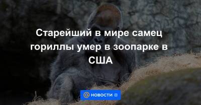 Екатерина Гура - Старейший в мире самец гориллы умер в зоопарке в США - news.mail.ru - США - Канада