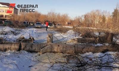 В Копейске не нашли желающих топить дома деревьями из городского парка - fedpress.ru - Копейск