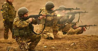 Территориальной обороне официально разрешили использовать стрелковое оружие - lenta.ua - Украина