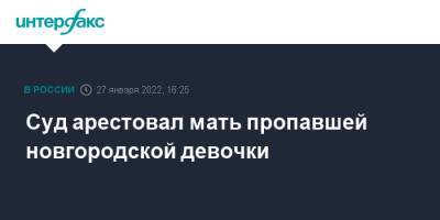 Александр Бастрыкин - Суд арестовал мать пропавшей новгородской девочки - interfax.ru - Москва - Новгородская обл. - Холм