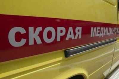 В Первомайском районе на свалке нашли тело новорожденного мальчика - tambov.mk.ru - Россия - Тамбовская обл.