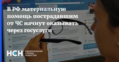 В РФ материальную помощь пострадавшим от ЧС начнут оказывать через госуслуги - nsn.fm - Россия