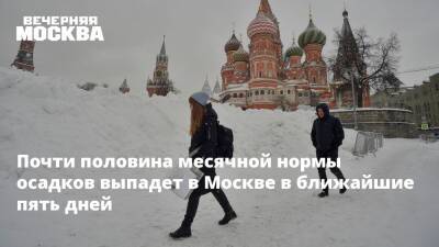 Почти половина месячной нормы осадков выпадет в Москве в ближайшие пять дней - vm.ru - Москва - Псковская обл. - Москва