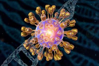 Анастасий Маркин - Китайские ученые заявили о новом коронавирусе: что о нем известно - rupor.info - Юар