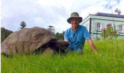 Джонатан - 190-летний Джонатан назван самой старой черепахой на свете - newizv.ru - Англия - Святая Елена