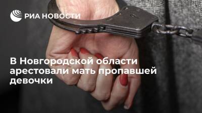 В Новгородской области арестовали мать двухлетней девочки, пропавшей несколько дней назад - ria.ru - Санкт-Петербург - Новгородская обл. - Холм