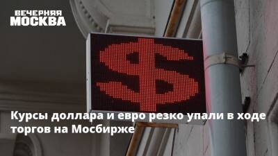 Наталья Мильчакова - Курсы доллара и евро резко упали в ходе торгов на Мосбирже - vm.ru - Россия