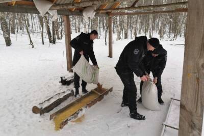 В Белгородской области организуют «лесные столовые» для диких животных - mk.ru - Белгородская обл.