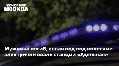 Мужчина погиб, попав под под колесами электрички возле станции «Удельная» - vm.ru - Москва - Россия - ЦФО