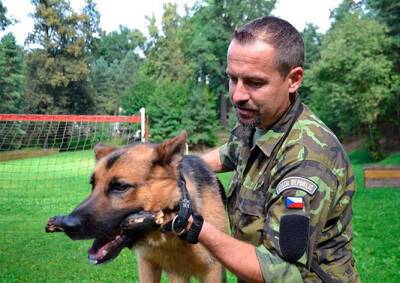 Чешскую армию раскритиковали за попытку продать пса-героя - vinegret.cz - США - Чехия - Afghanistan