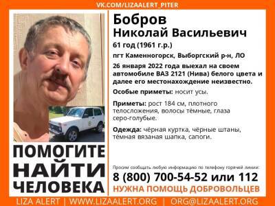 Элизабет Алерт - В Выборгском районе без вести пропал 61-летний мужчина - ivbg.ru - Украина - Ленобласть