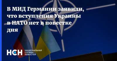 Анналена Бербок - В МИД Германии заявили, что вступления Украины в НАТО нет в повестке дня - nsn.fm - Украина - Германия