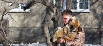 Руслан Болотов - В Иркутске с начала января отловили 77 бездомных собак - runews24.ru - Иркутск