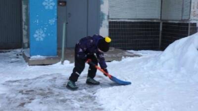 Почистивший снег школьник в Тольятти стал звездой рунета, но сам он собой недоволен - 5-tv.ru - Россия - Тольятти - Тольятти