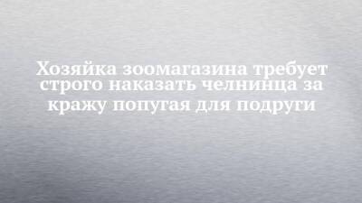 Хозяйка зоомагазина требует строго наказать челнинца за кражу попугая для подруги - chelny-izvest.ru - Россия - Набережные Челны