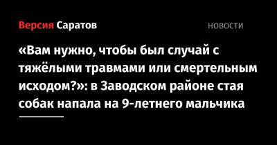 Вячеслав Володин - Роман Бусаргин - «Вам нужно, чтобы был случай с тяжёлыми травмами или смертельным исходом?»: в Заводском районе стая собак напала на 9-летнего мальчика - nversia.ru - Саратовская обл. - район Заводский